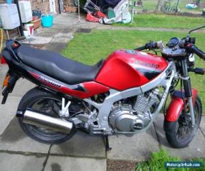 Motorcycle Suzuki GS 500 E Full MOT One Previous Owner for Sale