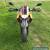 Yamaha xt660x supermoto for Sale