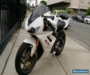 Motorcycle Daytona Triumph 675 for Sale