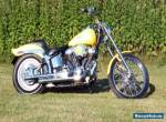 1991 Harley-Davidson Softail for Sale