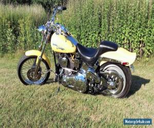 Motorcycle 1991 Harley-Davidson Softail for Sale
