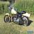 1991 Harley-Davidson Softail for Sale