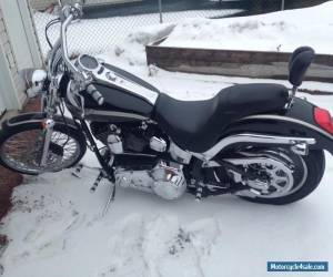 Motorcycle 2003 Harley-Davidson Softail for Sale