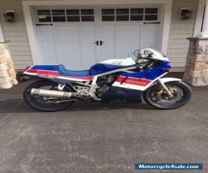 Motorcycle 1986 Suzuki GSX-R for Sale