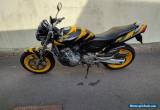 Honda Hornet CB600F for Sale