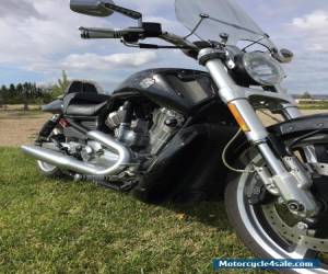 Motorcycle 2009 Harley-Davidson Touring for Sale