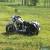 1994 Harley-Davidson Softail for Sale