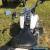 1994 Harley-Davidson Softail for Sale