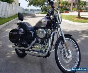 Motorcycle 2007 Harley-Davidson Sportster for Sale