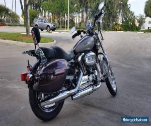 Motorcycle 2007 Harley-Davidson Sportster for Sale