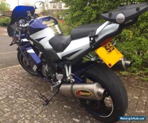 Motorcycle SUZUKI SV1000SZ K5 2005 (GSX-R 20th Anniversary Limited Edition Model) SV1000S for Sale