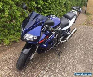 Motorcycle SUZUKI SV1000SZ K5 2005 (GSX-R 20th Anniversary Limited Edition Model) SV1000S for Sale