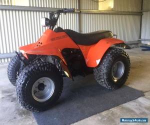 Motorcycle 1986 Suzuki LT125 Quad Bike for Sale