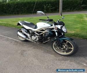 Suzuki Gladius SFV 650 for Sale