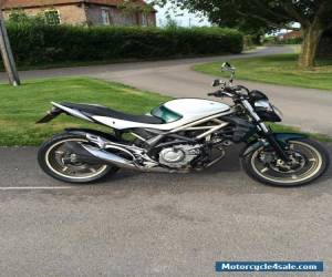 Motorcycle Suzuki Gladius SFV 650 for Sale