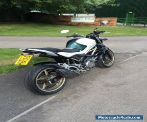 Motorcycle Suzuki Gladius SFV 650 for Sale