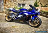 yamaha r6 2008 superbike for Sale