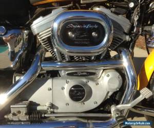 Motorcycle 2001 Harley-Davidson Sportster for Sale