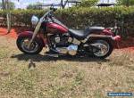 2002 Harley-Davidson Softail for Sale