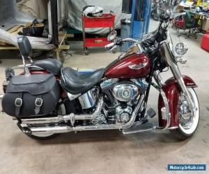 Motorcycle 2008 Harley-Davidson Softail for Sale