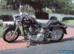 2001 Harley-Davidson Softail for Sale