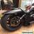 Harley Davidson night rod special  for Sale