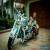 1995 Harley-Davidson Softail for Sale