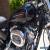 2009 Harley-Davidson Sportster for Sale