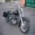 1981 Harley-Davidson SHOVEL HEAD  for Sale