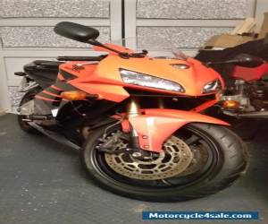 Motorcycle 2006 HONDA CBR 600 RR-6 ORANGE for Sale