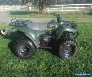 Motorcycle Kawasaki KVF 300 Full Automatic Hunting Farm Quad Bike ATV for Sale