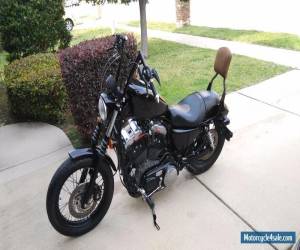 Motorcycle 2008 Harley-Davidson Sportster for Sale