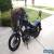 2008 Harley-Davidson Sportster for Sale