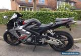 2006 HONDA CBR 600 RR-5 BLACK for Sale