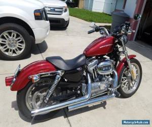 2006 Harley-Davidson Sportster for Sale