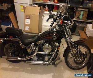 Motorcycle 1993 Harley-Davidson Softail for Sale