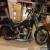 1993 Harley-Davidson Softail for Sale