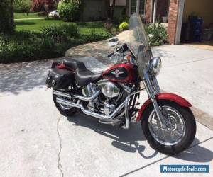 Motorcycle 2006 Harley-Davidson Softail for Sale