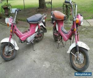 Motorcycle Two 1970's Honda CF50/70 Chaly Project Monkey Bikes For Sale for Sale