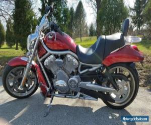 Motorcycle 2008 Harley-Davidson VRSC for Sale