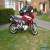 1999 HONDA TRANSALP 600V-J RED for Sale