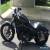 2010 Harley-Davidson Sportster for Sale