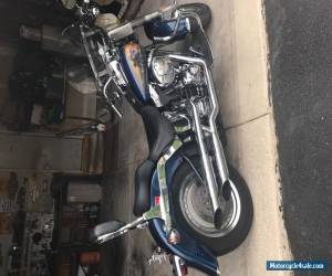 Motorcycle 2000 Harley-Davidson Softail for Sale