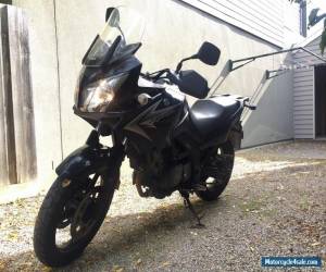 Motorcycle 2009 Suzuki V-Strom (DL650A) for Sale