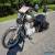 2009 Harley-Davidson Sportster for Sale