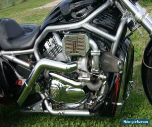 Motorcycle 2005 Harley-Davidson VRSC for Sale