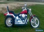 1999 Harley-Davidson Softail for Sale