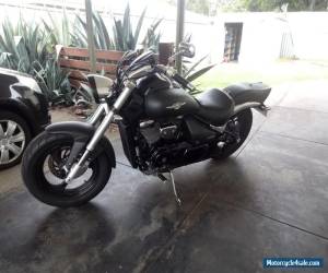 Motorcycle SUZUKI BOULEVARD M50  for Sale