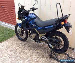 Motorcycle Kawasaki KLE500 2006 for Sale