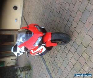 Motorcycle 2004 HONDA CBR 1000 RR-4 WHITE for Sale